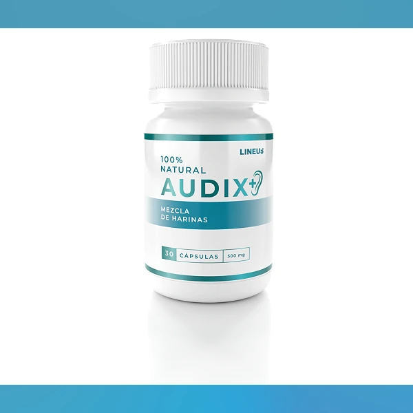 Audix