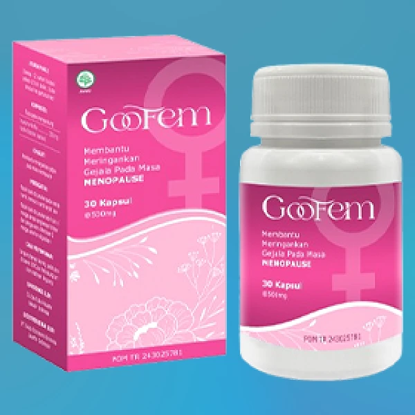 GOOFEM