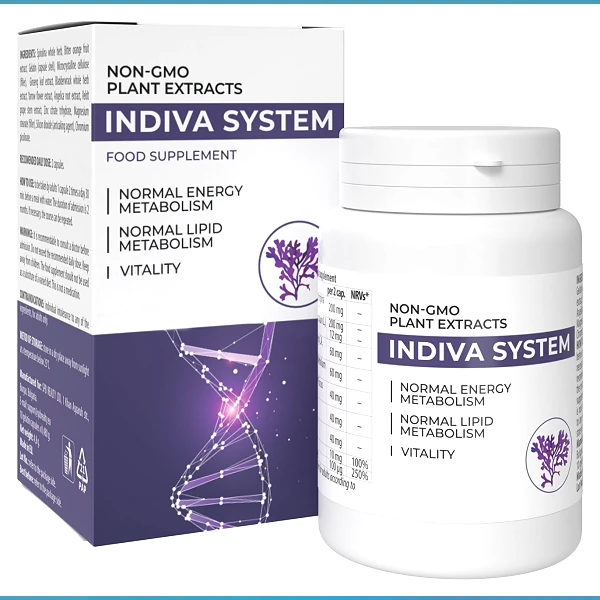 INDIVA SYSTEM